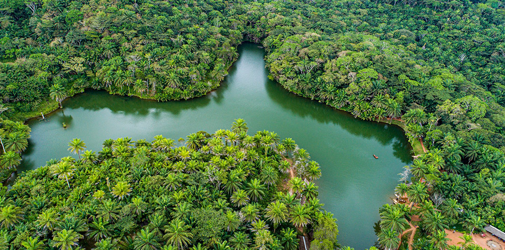 Magoroto Forest Estate