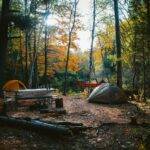 Cabin Trailer
