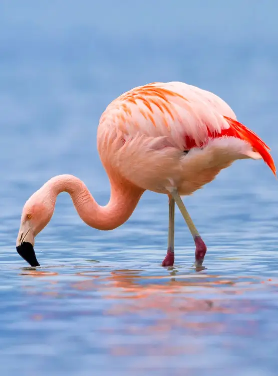 Lake Manyara National Park