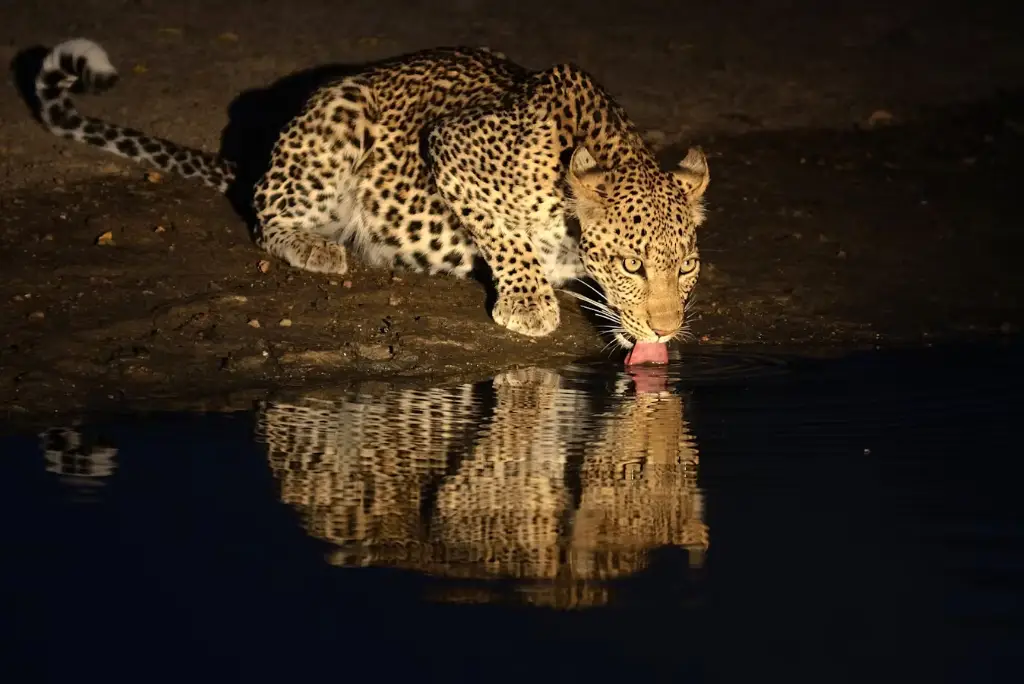 Tanzania