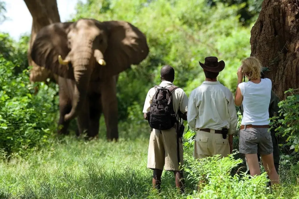 Tanzania