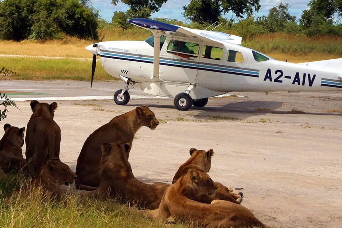 Tanzania Fly-in Safari