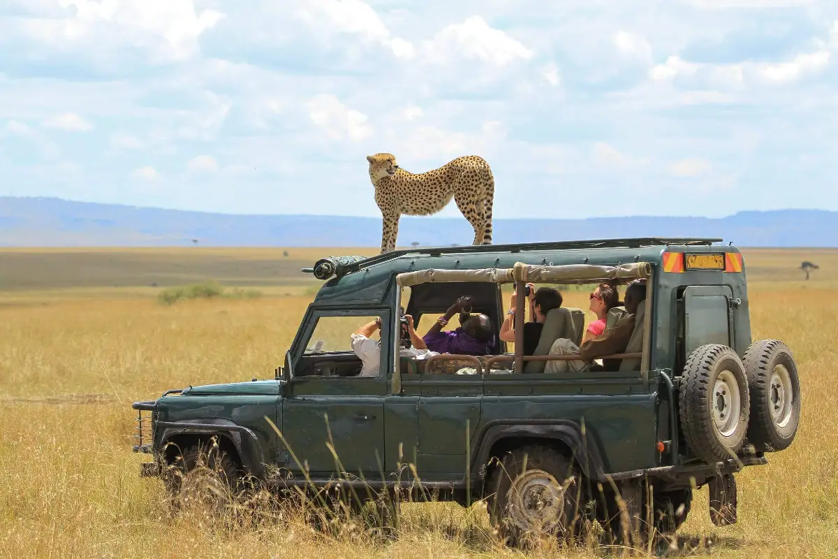 Ultimate Tanzania Safari
