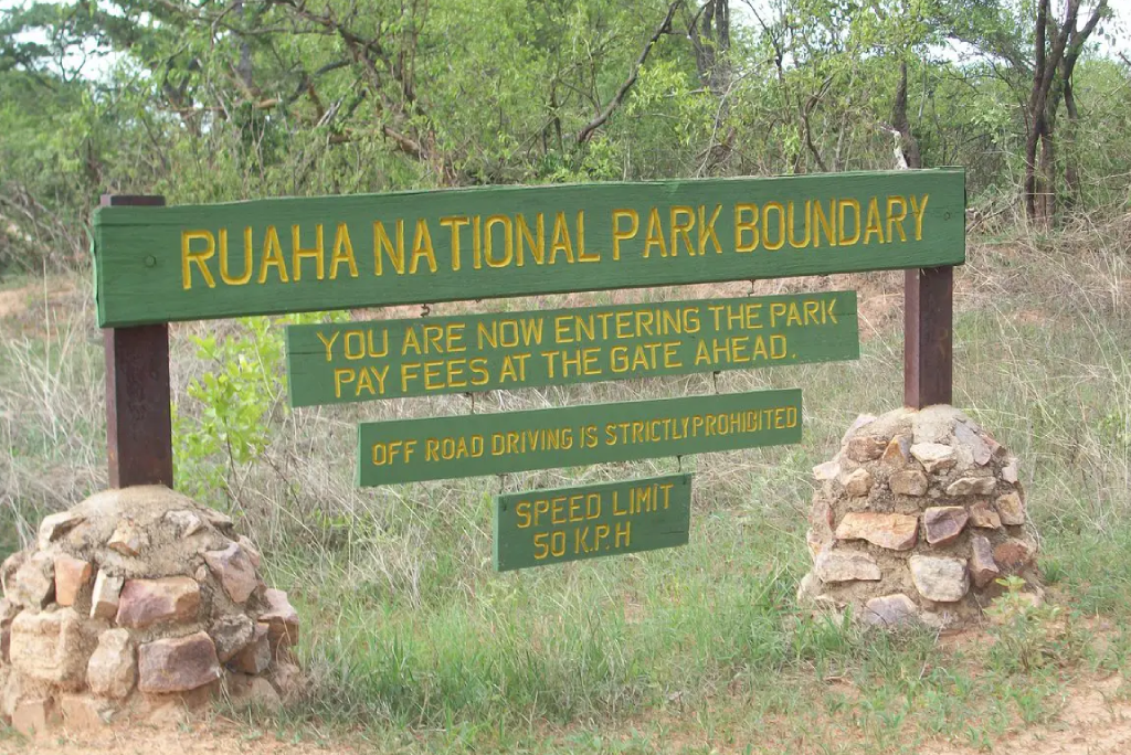 10 Days Southern Circuit Group Safari In Tanzania