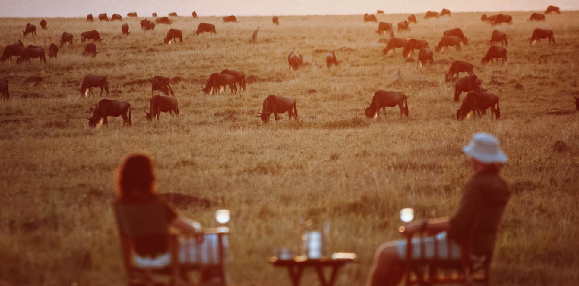 10 Days Honeymoon safari Attractions 10 Days Honeymoon safari Attractions