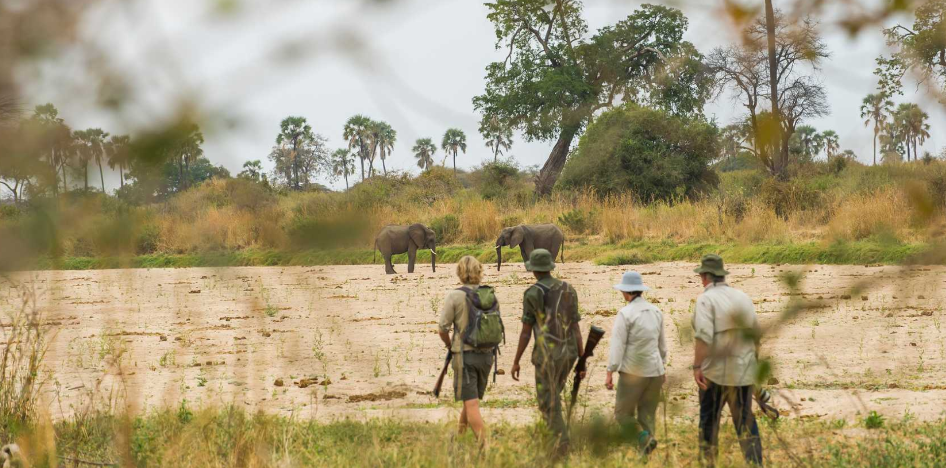 10 Days Southern Circuit Group Safari In Tanzania Walking Safari 10 Days Southern Circuit Group Safari In Tanzania Walking Safari