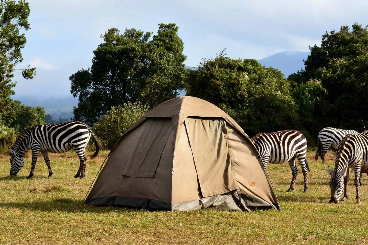 2 Days Tanzania Camping Safari  
