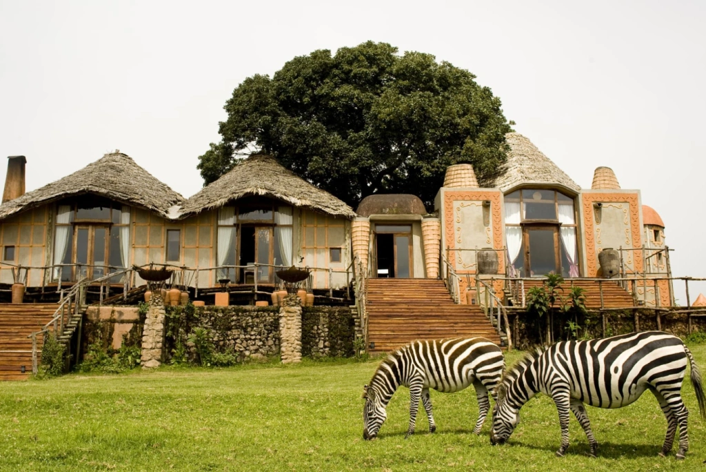 2 Days Tanzania Camping Safari Wildlife