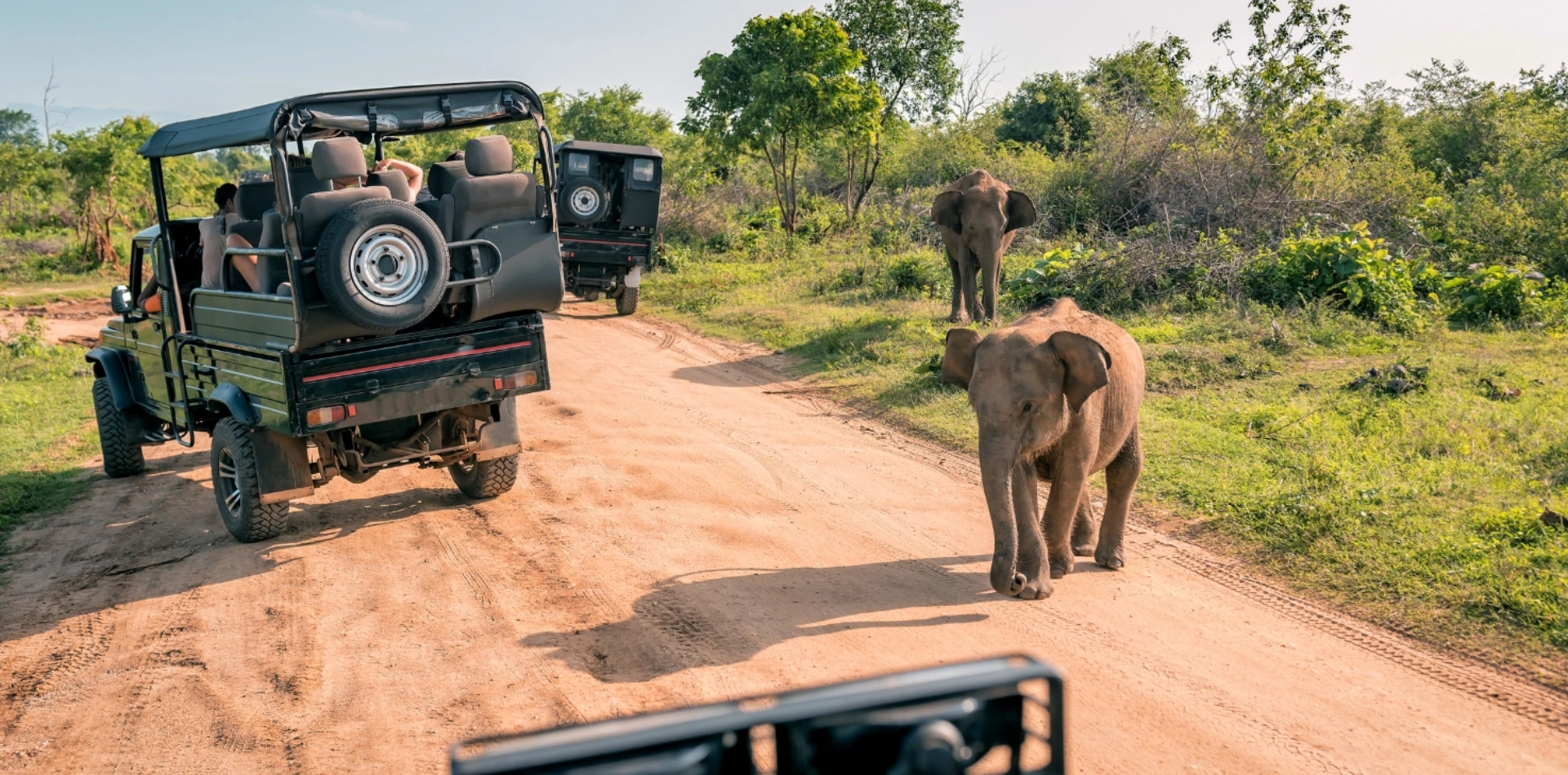 2 Days Tanzania Camping Safari Game Drive