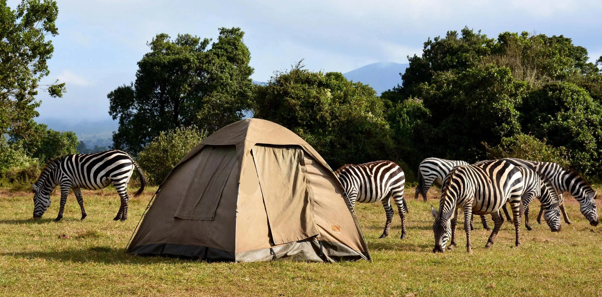 2 Days Tanzania Camping Safari