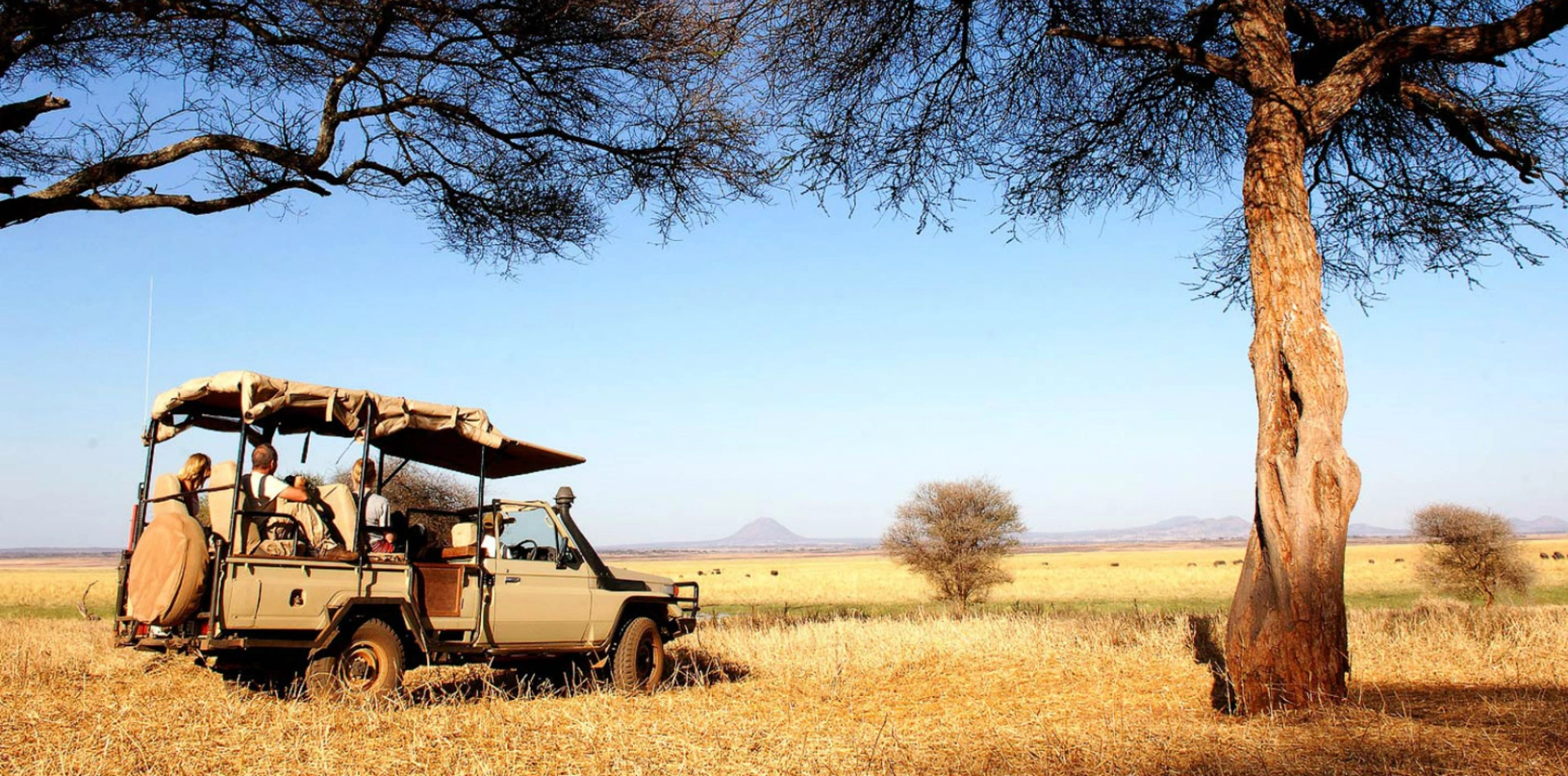 2 Days Tanzania Luxury Safari Tour