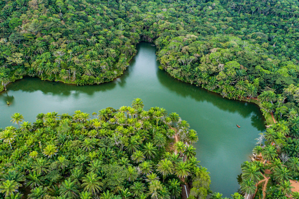 3 Days Magoroto Forest Estate: The Perfect Tanga Getaway