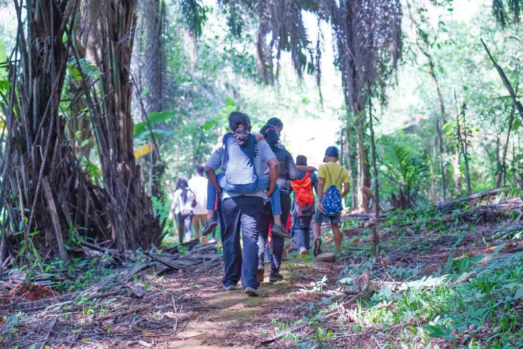 3 Days Magoroto Forest Estate: The Perfect Tanga Getaway