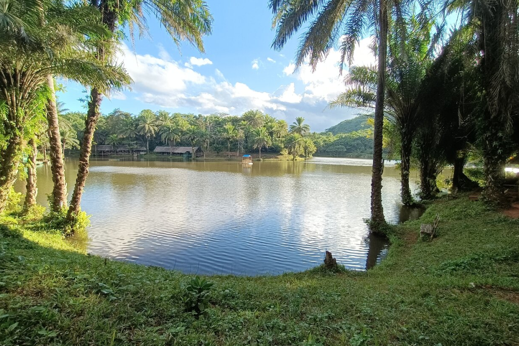 3 Days Magoroto Forest Estate: The Perfect Tanga Getaway