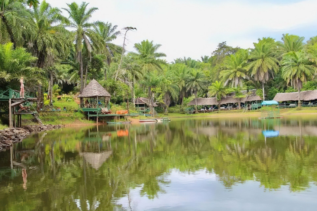 3 Days Magoroto Forest Estate: The Perfect Tanga Getaway