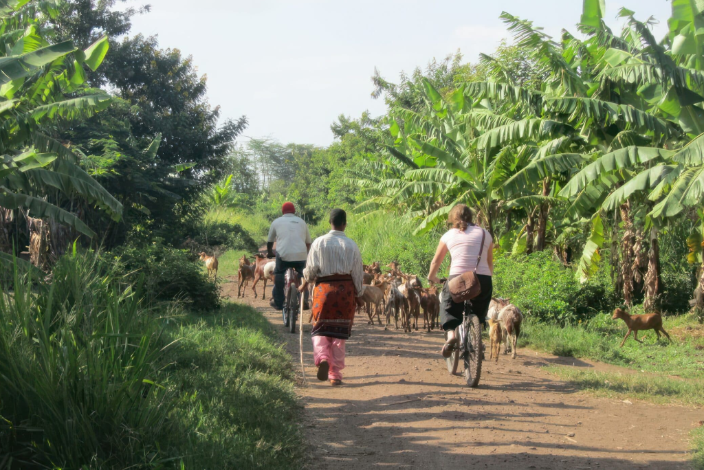 3 Days Mount Ol-Donyo Lengai Climb