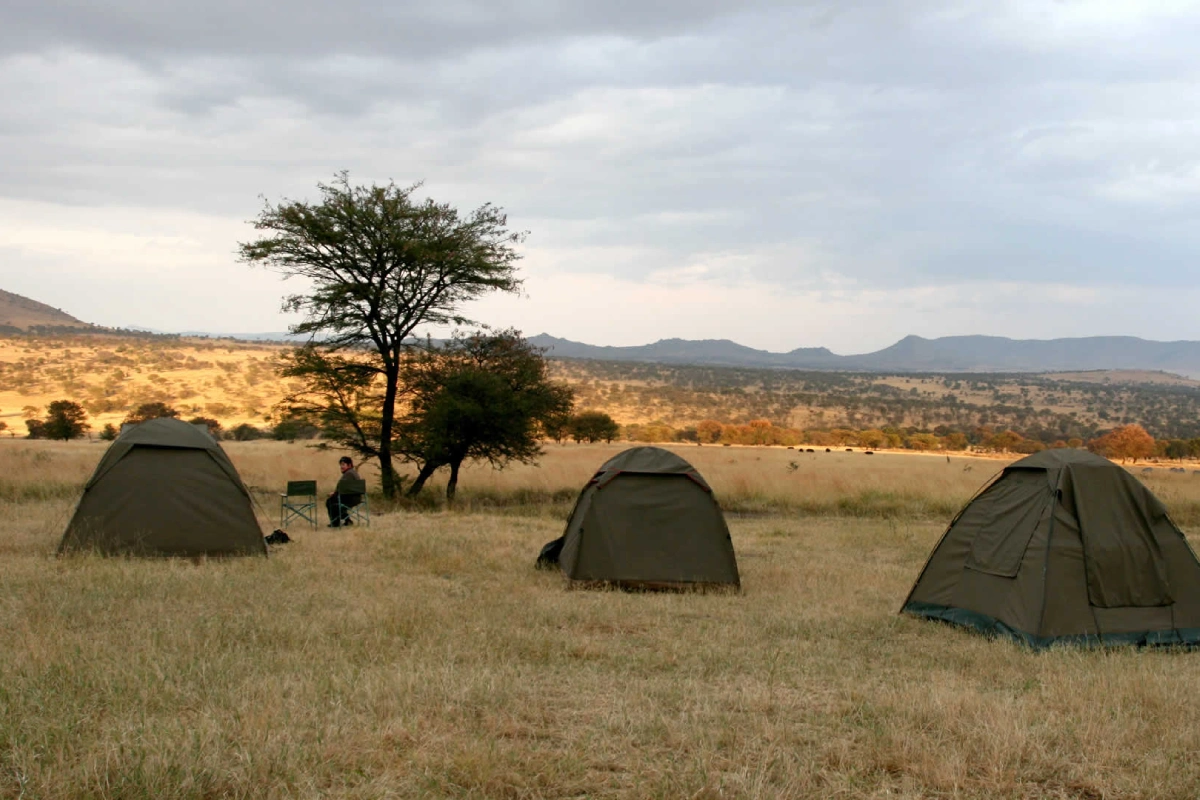 3 Day Tanzania Camping Safari
