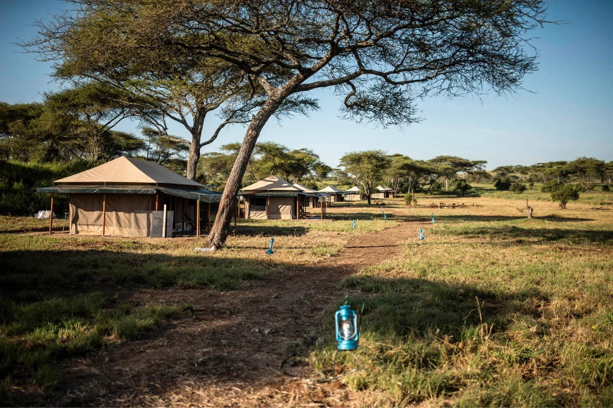 4 Day Tanzania Camping Safari