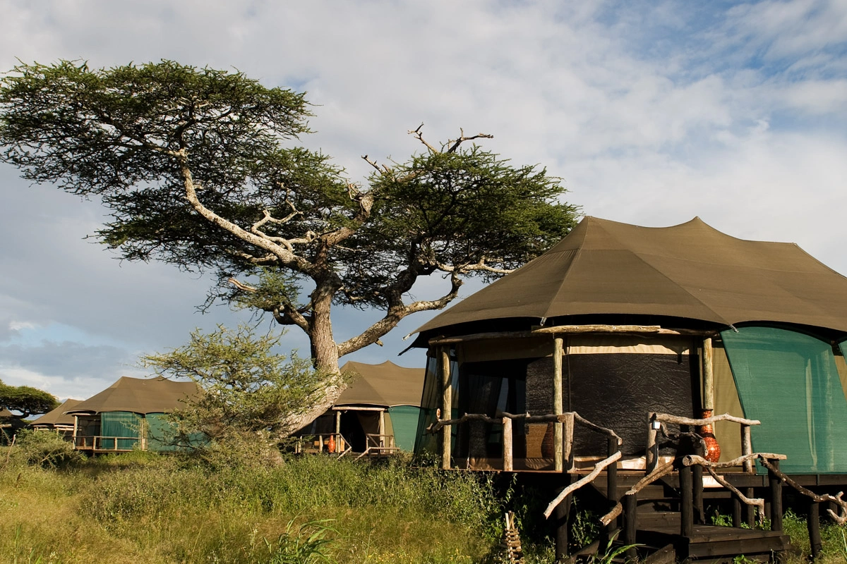 5 Day Tanzania Camping Safari