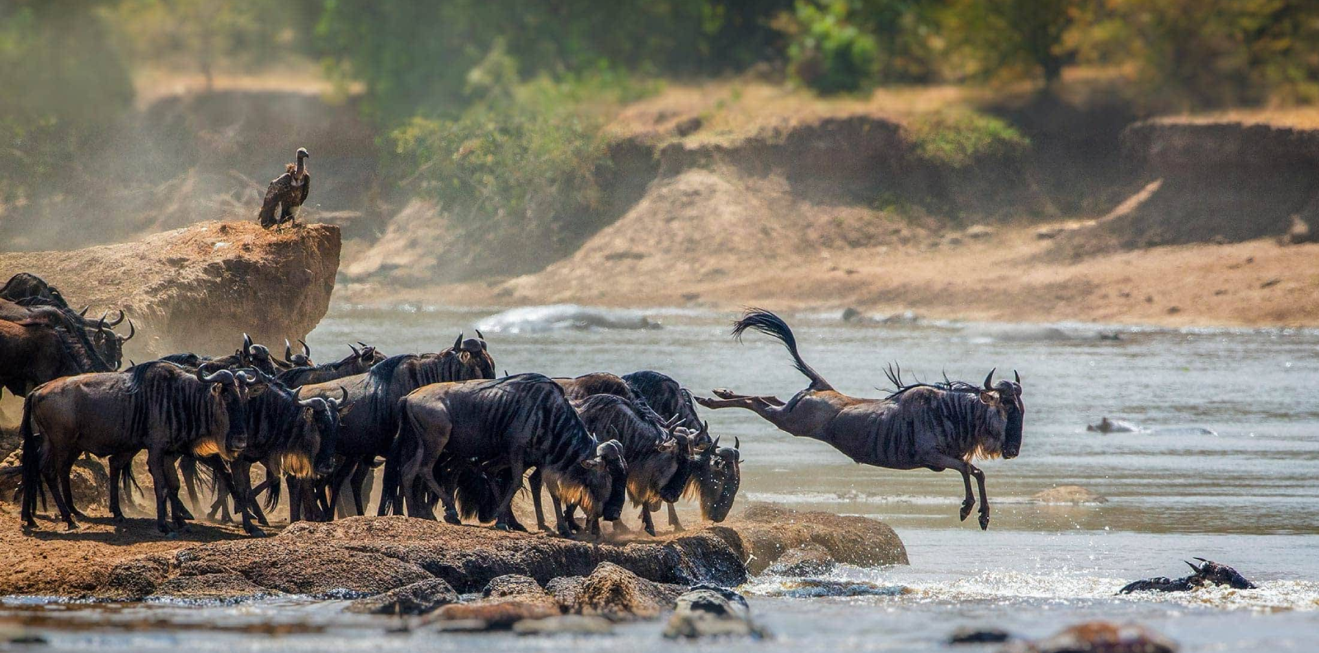 6 Days Camping Safari at Lake Eyasi to Lake Natron Wildlife 6 Days Camping Safari at Lake Eyasi to Lake Natron Wildlife