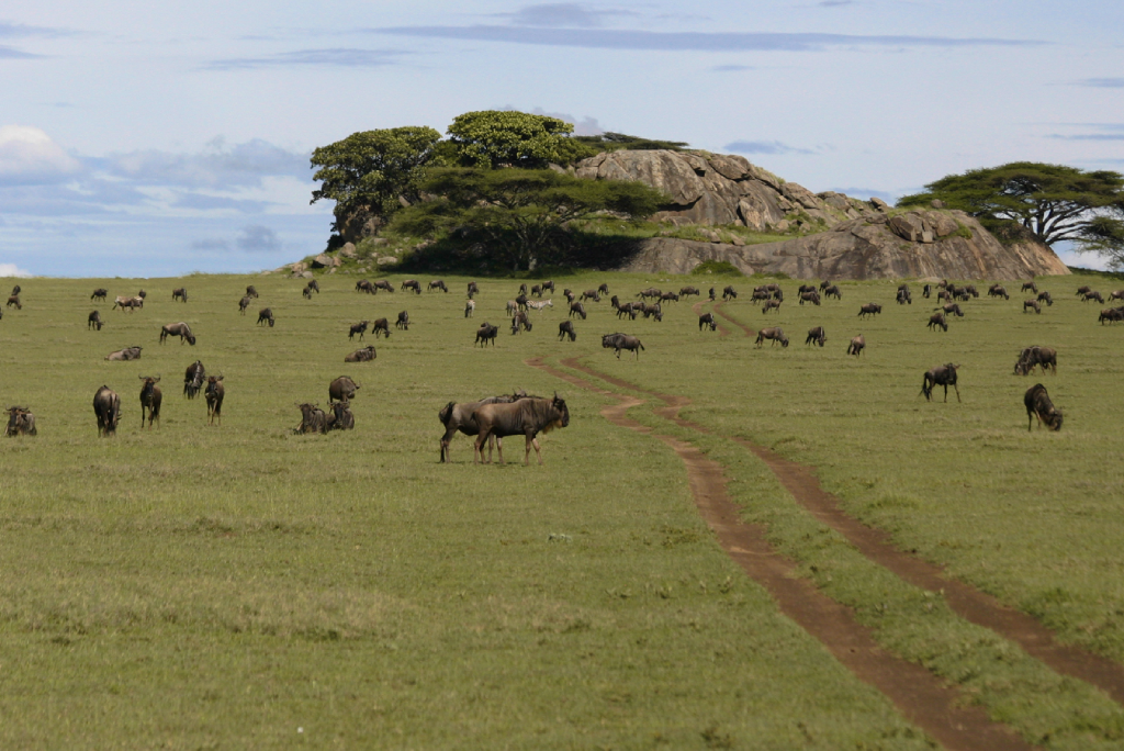 6 Days Camping Safari at Lake Eyasi to Lake Natron