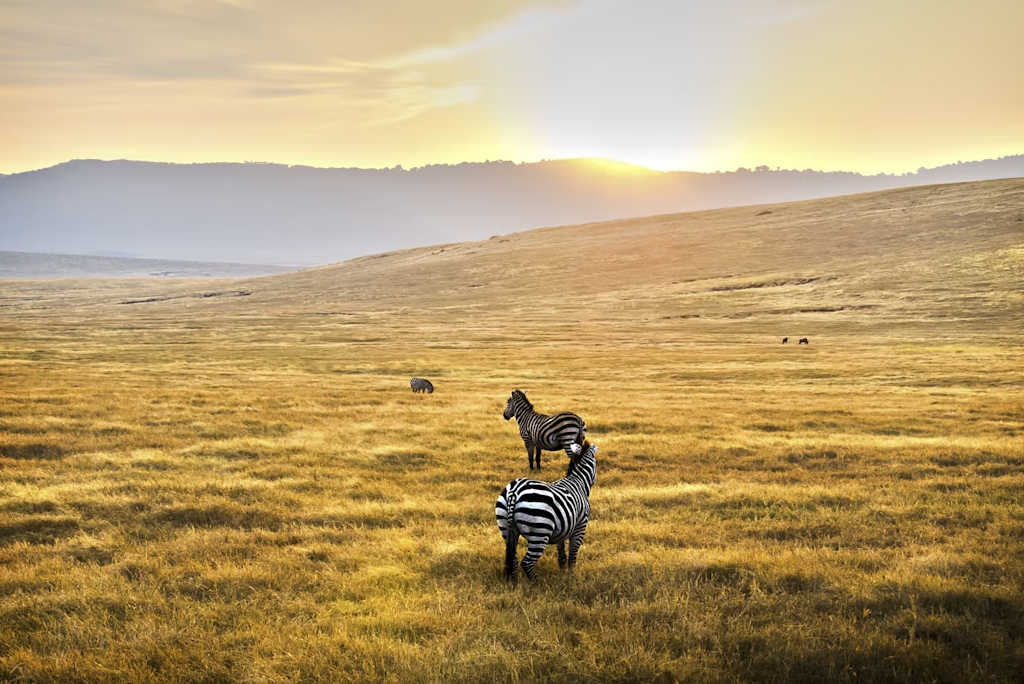 6-days-camping-safari-at-lake-eyasi-to-lake-natron_5