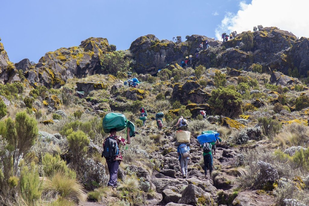 6 Days Rongai Route Kilimanjaro