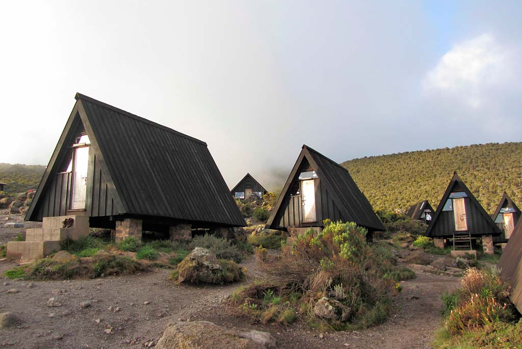 6 Days Rongai Route Kilimanjaro