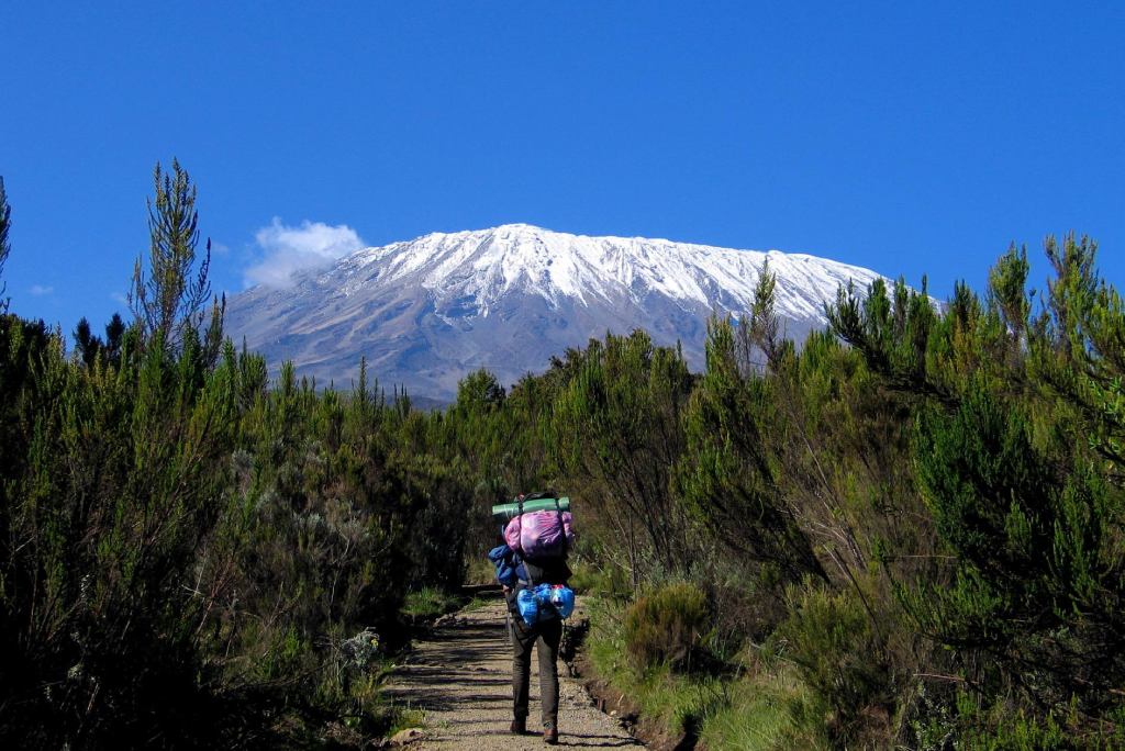 6 Days Rongai Route Kilimanjaro