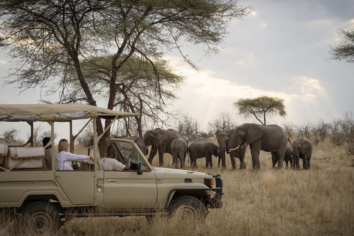 6 Days Semi Luxury Family Safari
