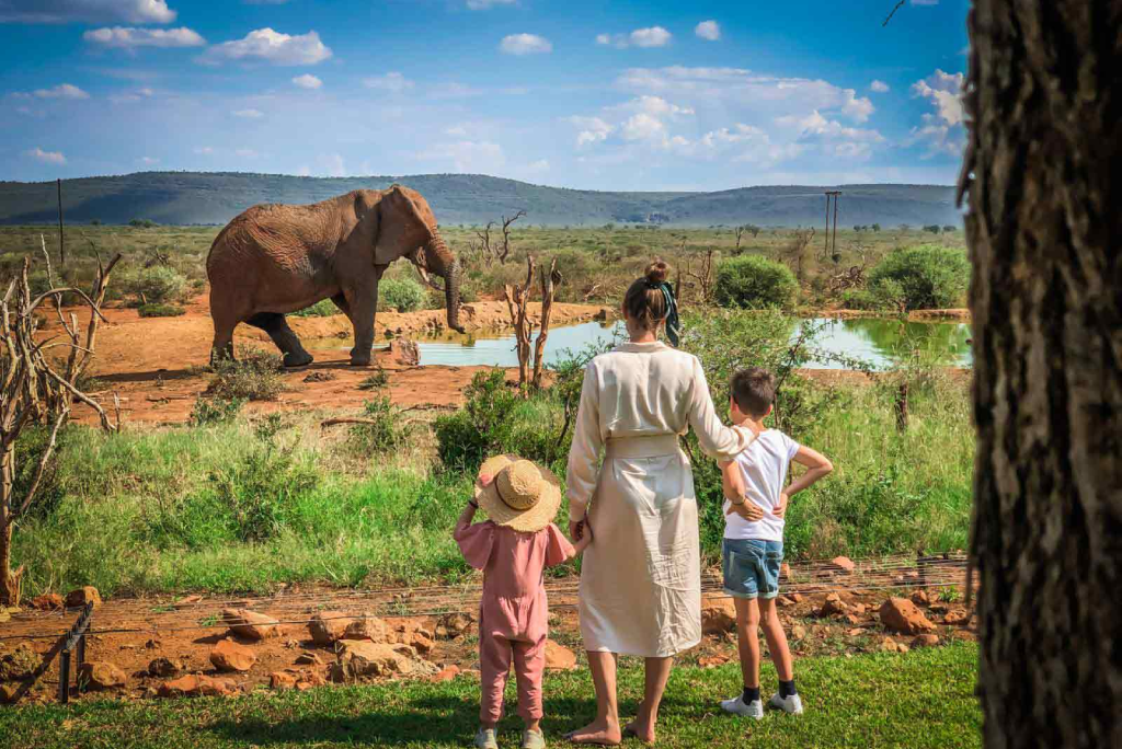 6 Days Semi Luxury Family Safari Attractions