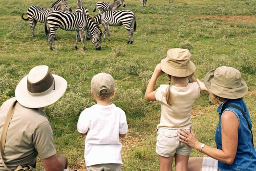 6 Days Semi Luxury Family Safari Attractions