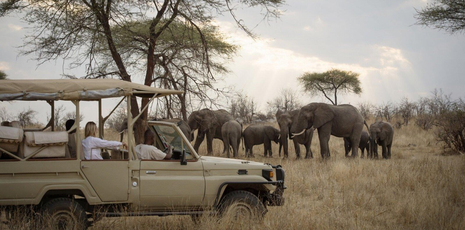 6 Days Semi Luxury Family Safari