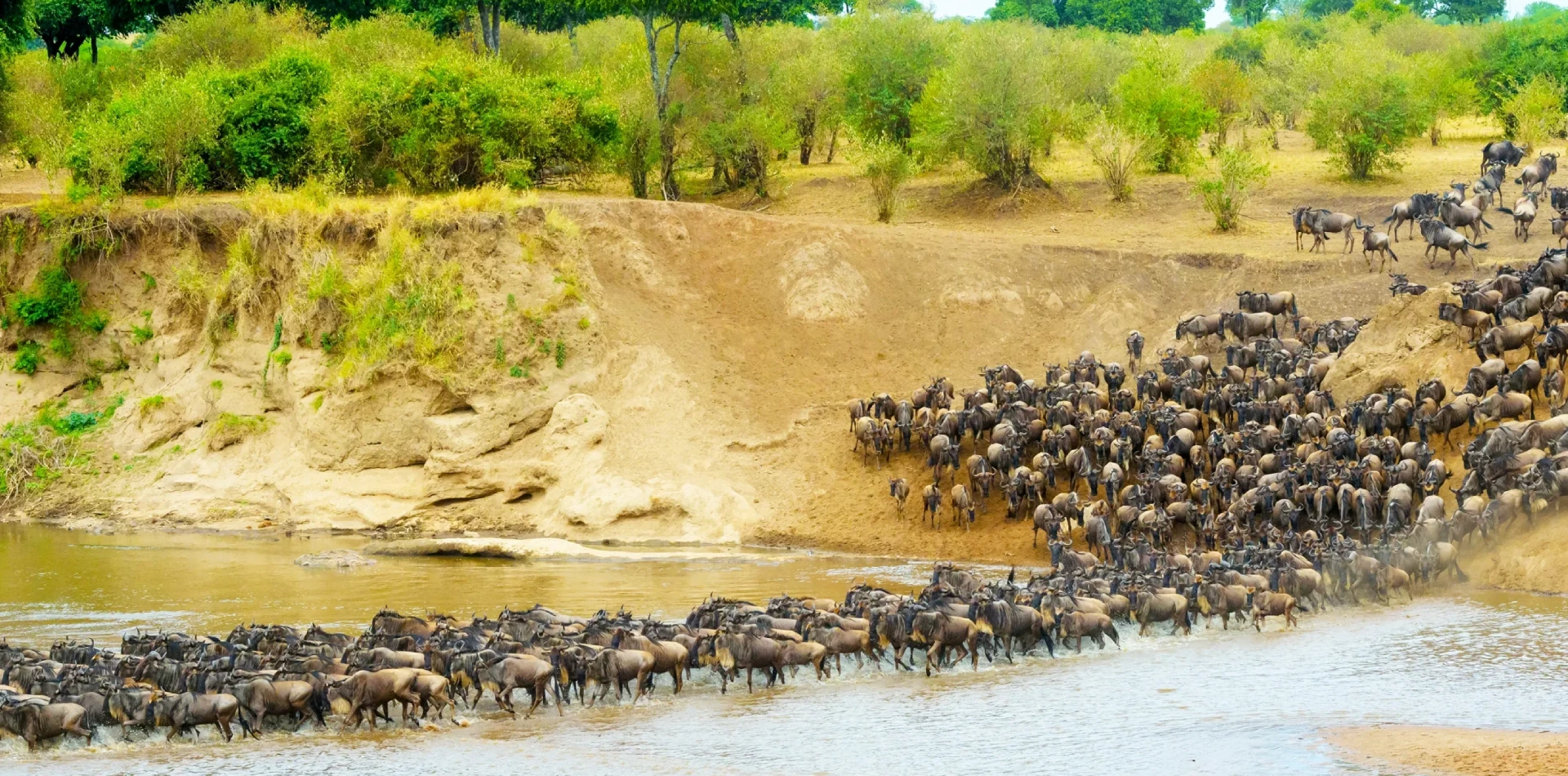 7 Days 6 Night - "Well Worth It" Luxury Adventure Safari Wildlife