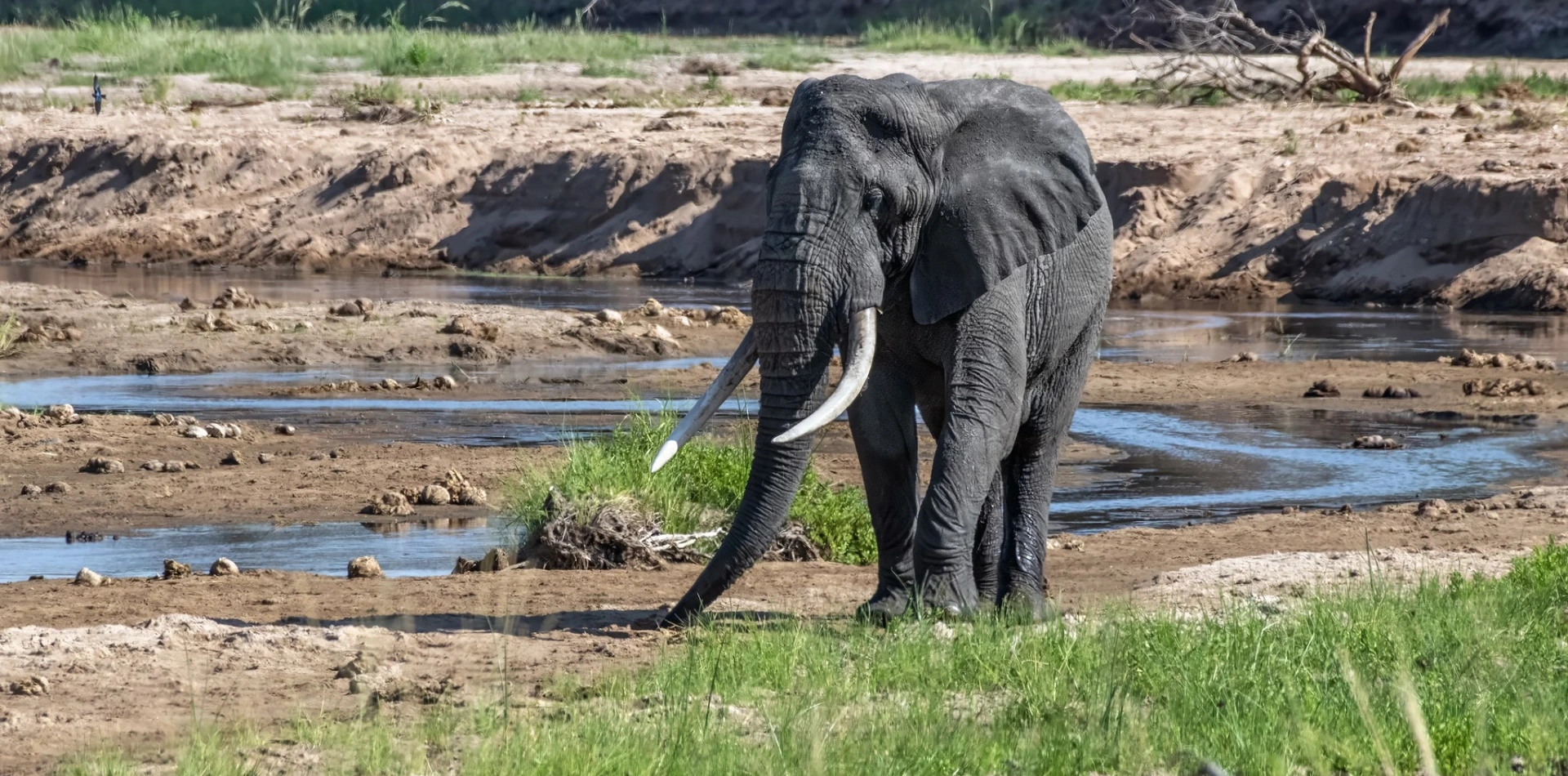 7 Days 6 Night - "Well Worth It" Luxury Adventure Safari Wildlife