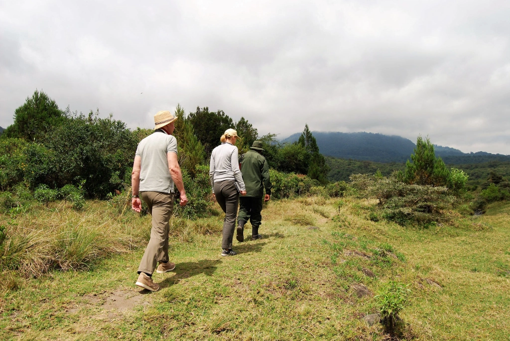 7 Days 6 Night - "Well Worth It" Luxury Adventure Safari Adventure