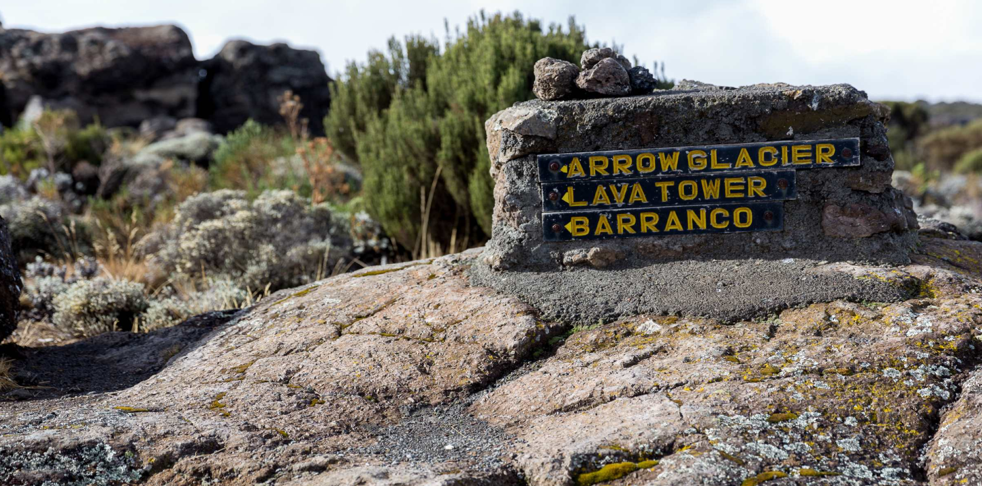 7 Days Machame Route Trekking