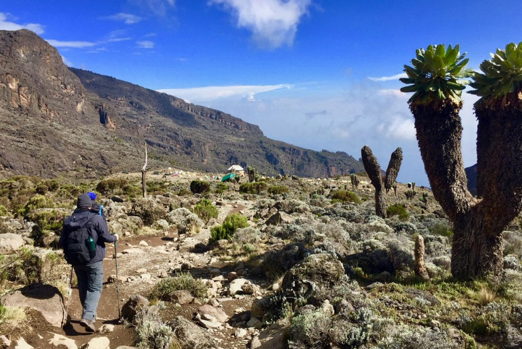 7 Days Machame Route