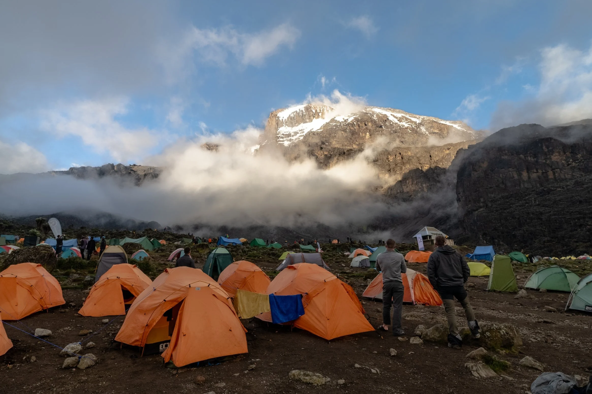 8 Days Lemosho Route