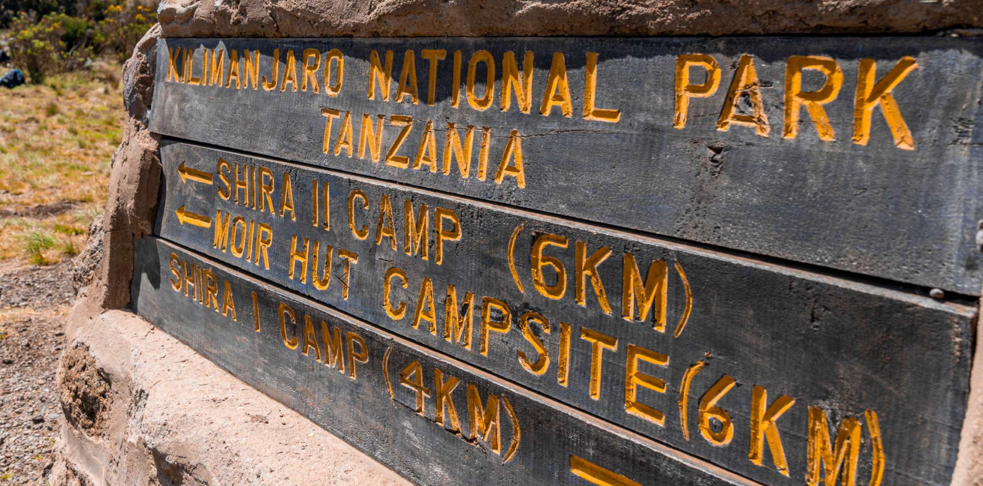 8 Days Lemosho Route Trekking