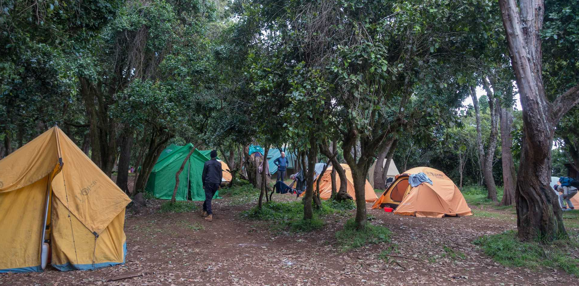 8 Days Lemosho Route Camping