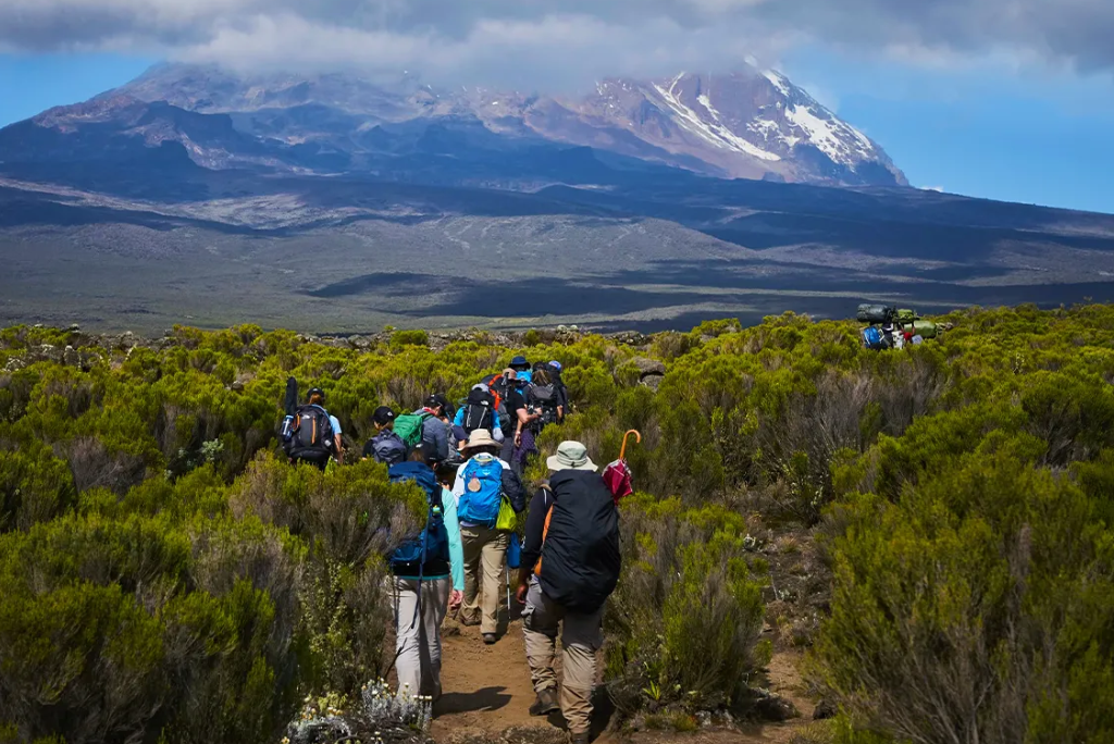 8 Days Lemosho Route