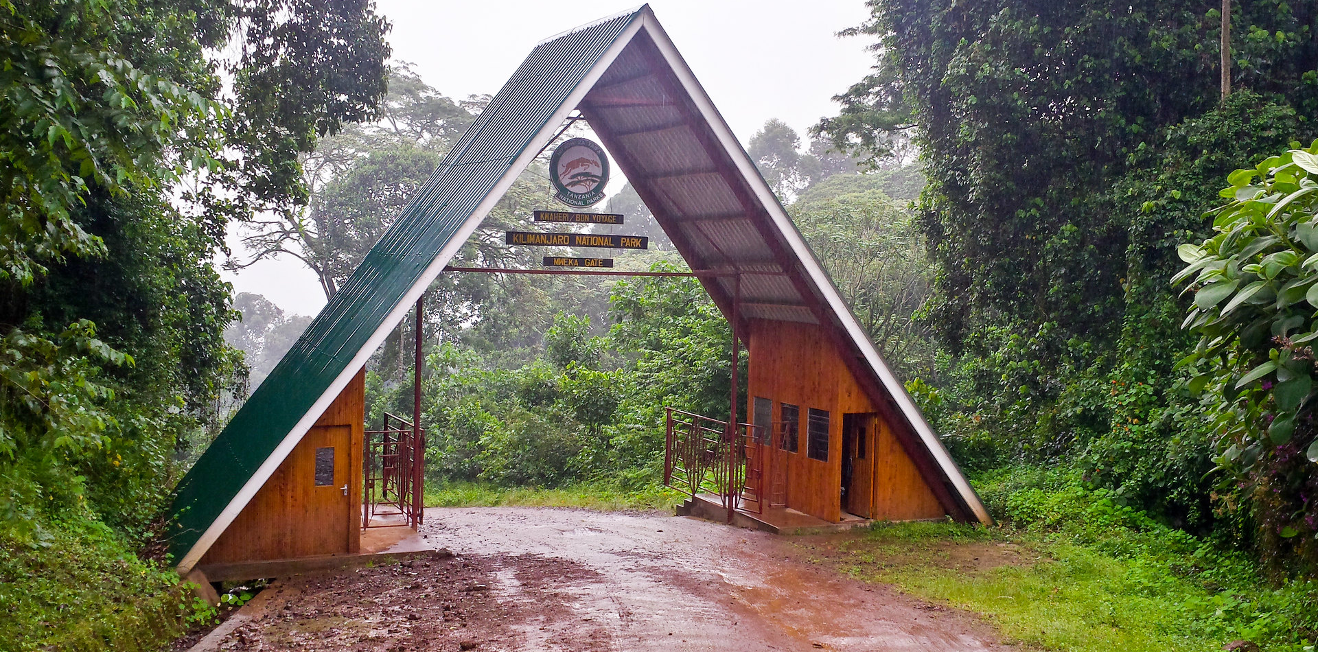 8 Days Lemosho Route Trekking