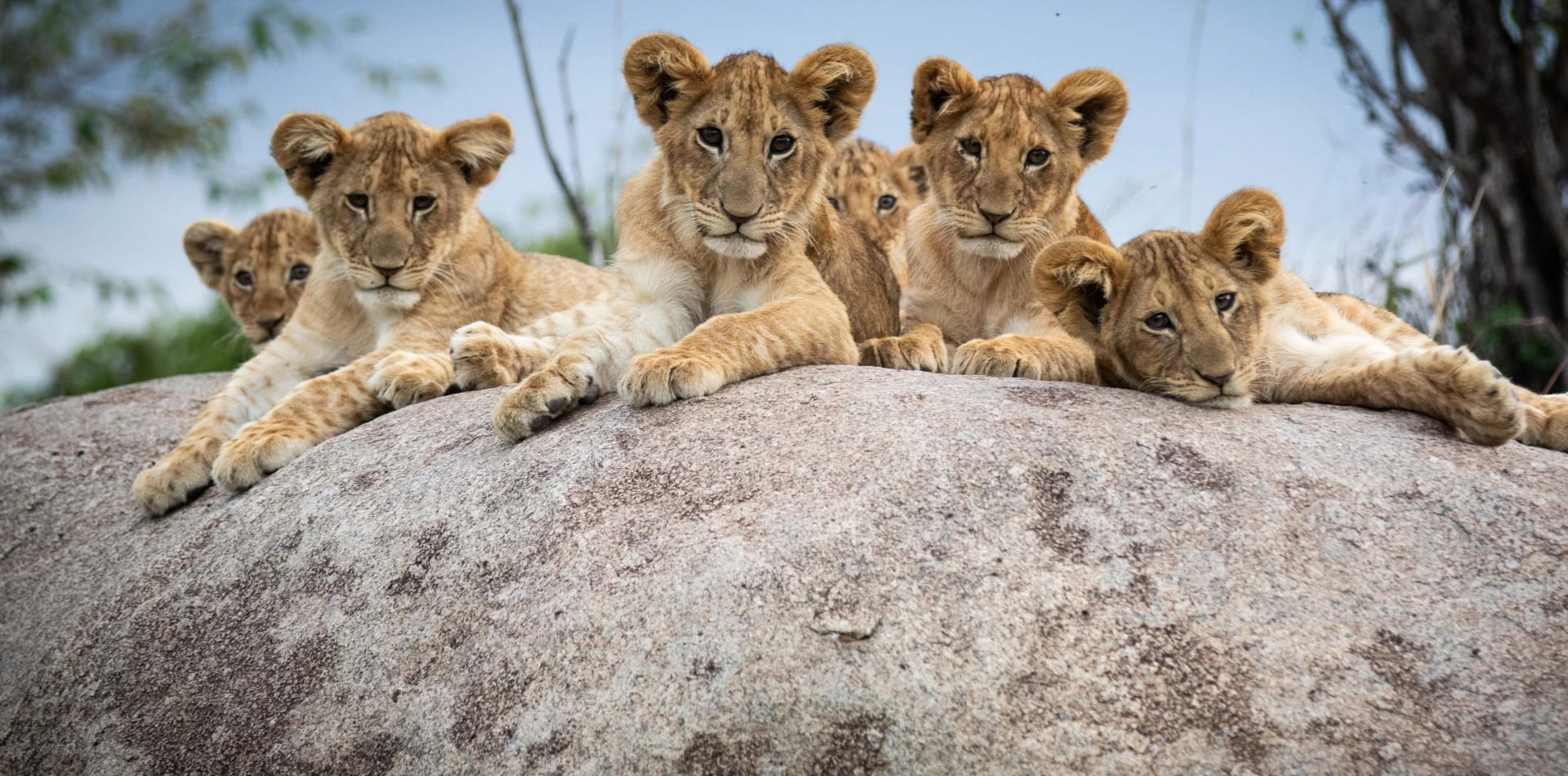 Big Five