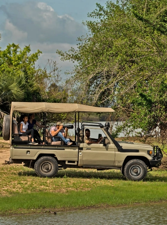 Game Drive Attraction