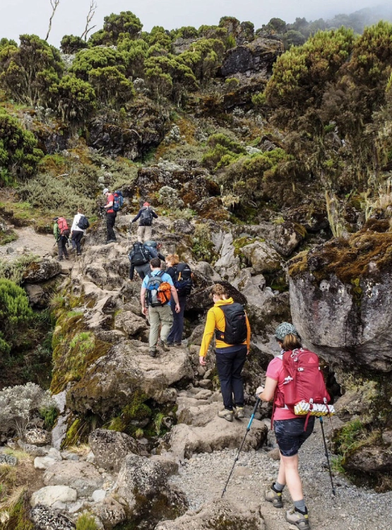 Kilimanjaro Travel Insurance