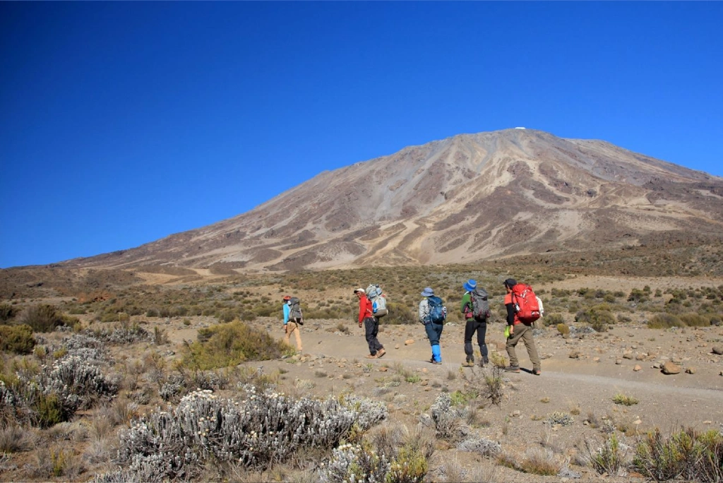 Kilimanjaro