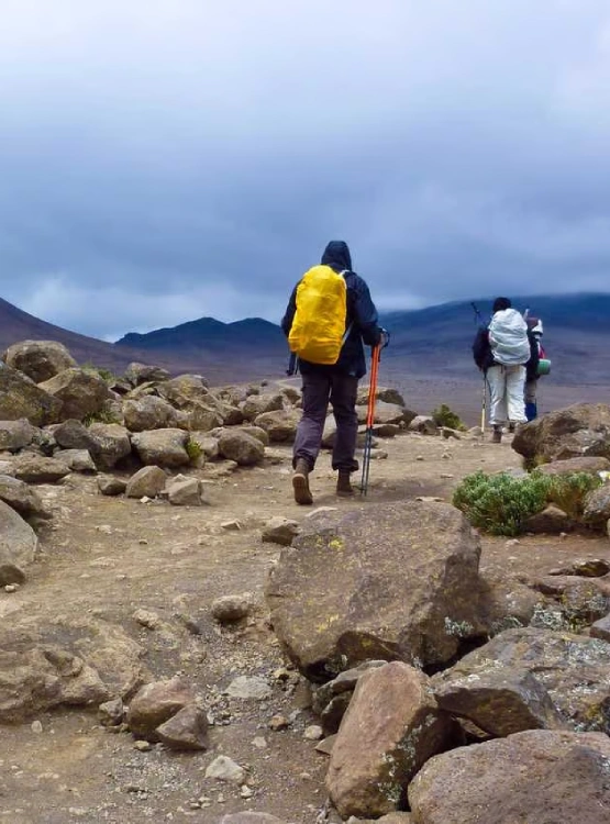 How Much Does it Cost to Climb Kilimanjaro? Trekking