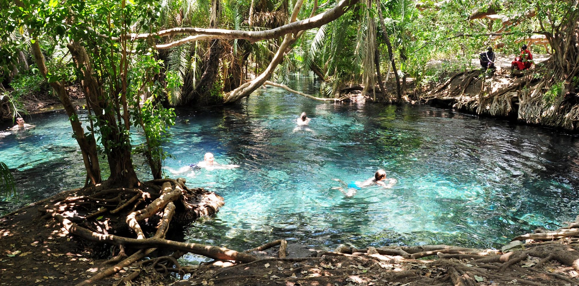 Kikuletwa Hot Springs Attractions