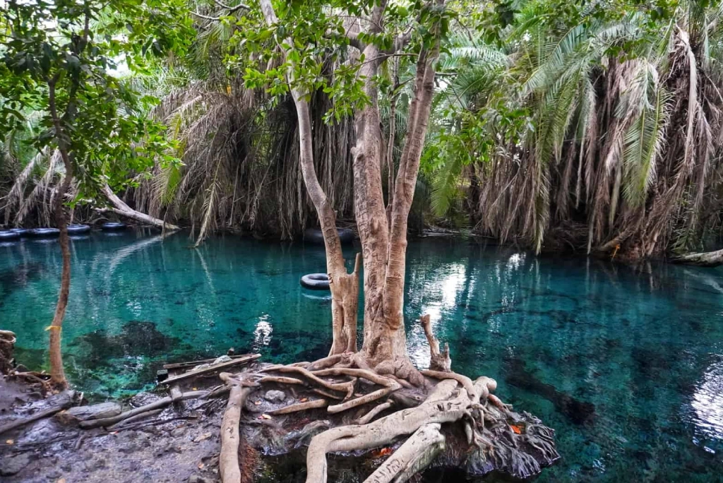 Kikuletwa Hot Springs Attractions